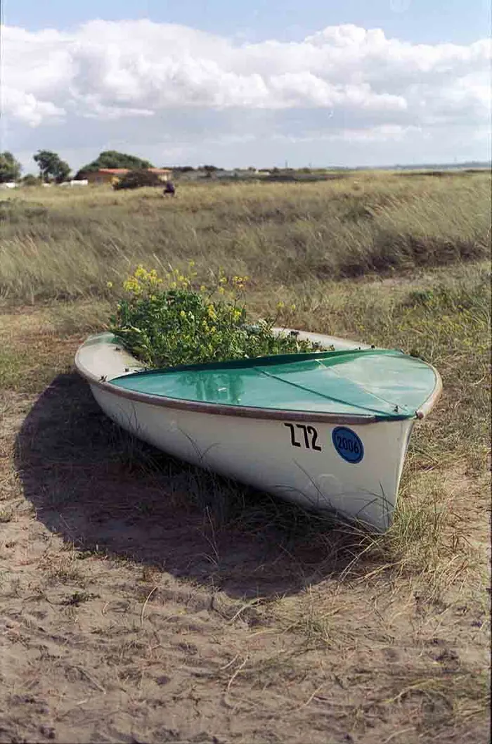 Analogfoto, aufgenommen mit Olympus OM-2n auf CineStill 50D, Fehmarn