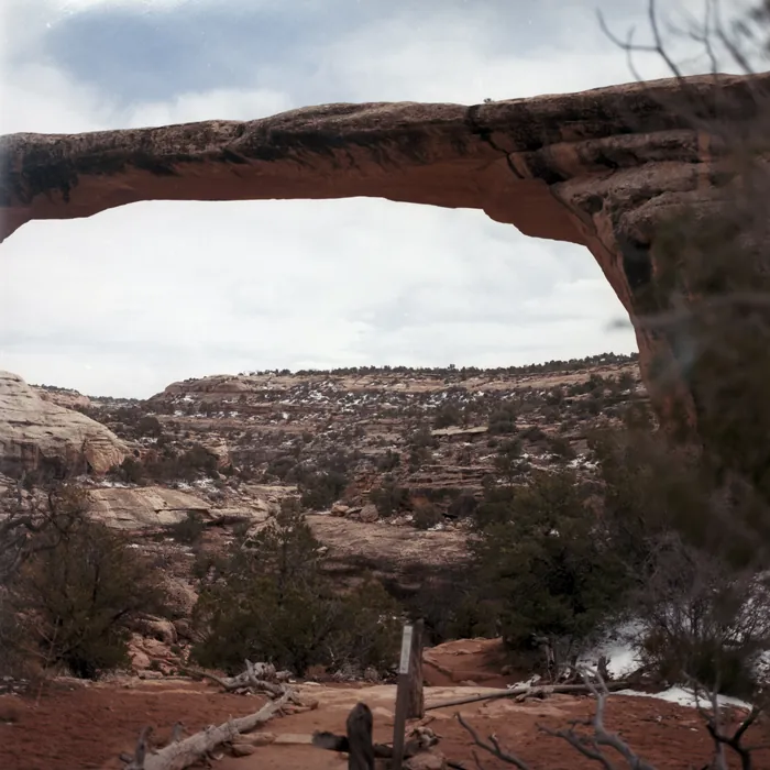 Analogfoto, aufgenommen mit Hasselblad 501cm auf Kodak Gold 200, Utah